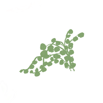 A small plant