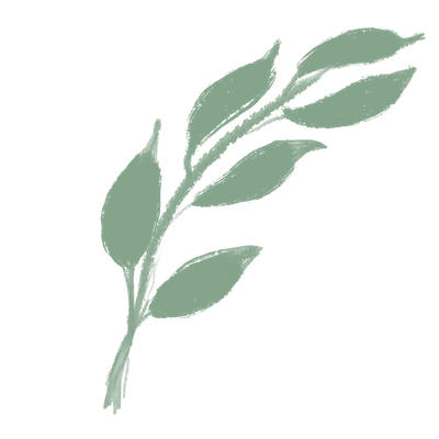 A small cactus plant